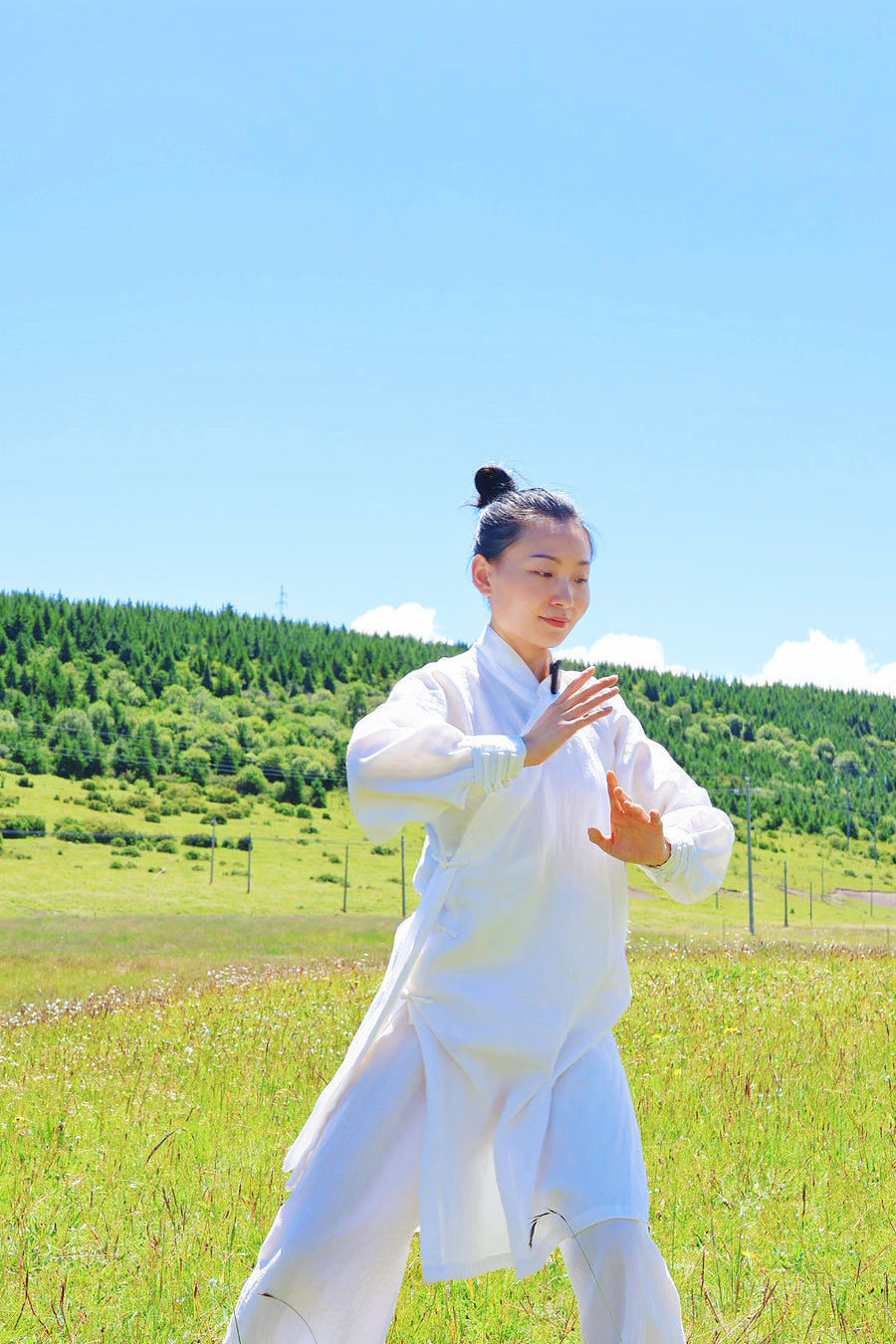Tai Chi Whole-Body Practice | Spinal Flow & Internal Energy Balancing for Desk Workers & Seniors