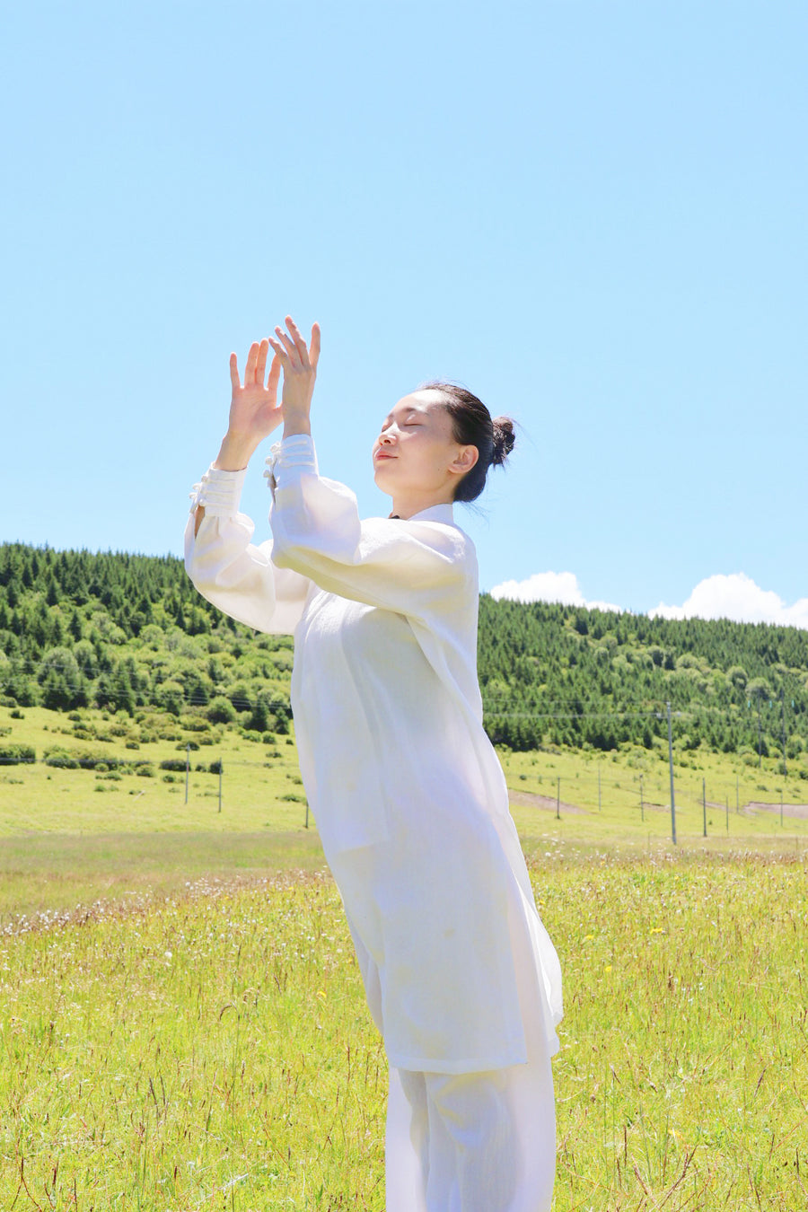 Tai Chi Heart Wellness Training | Gentle Flow For All Ages