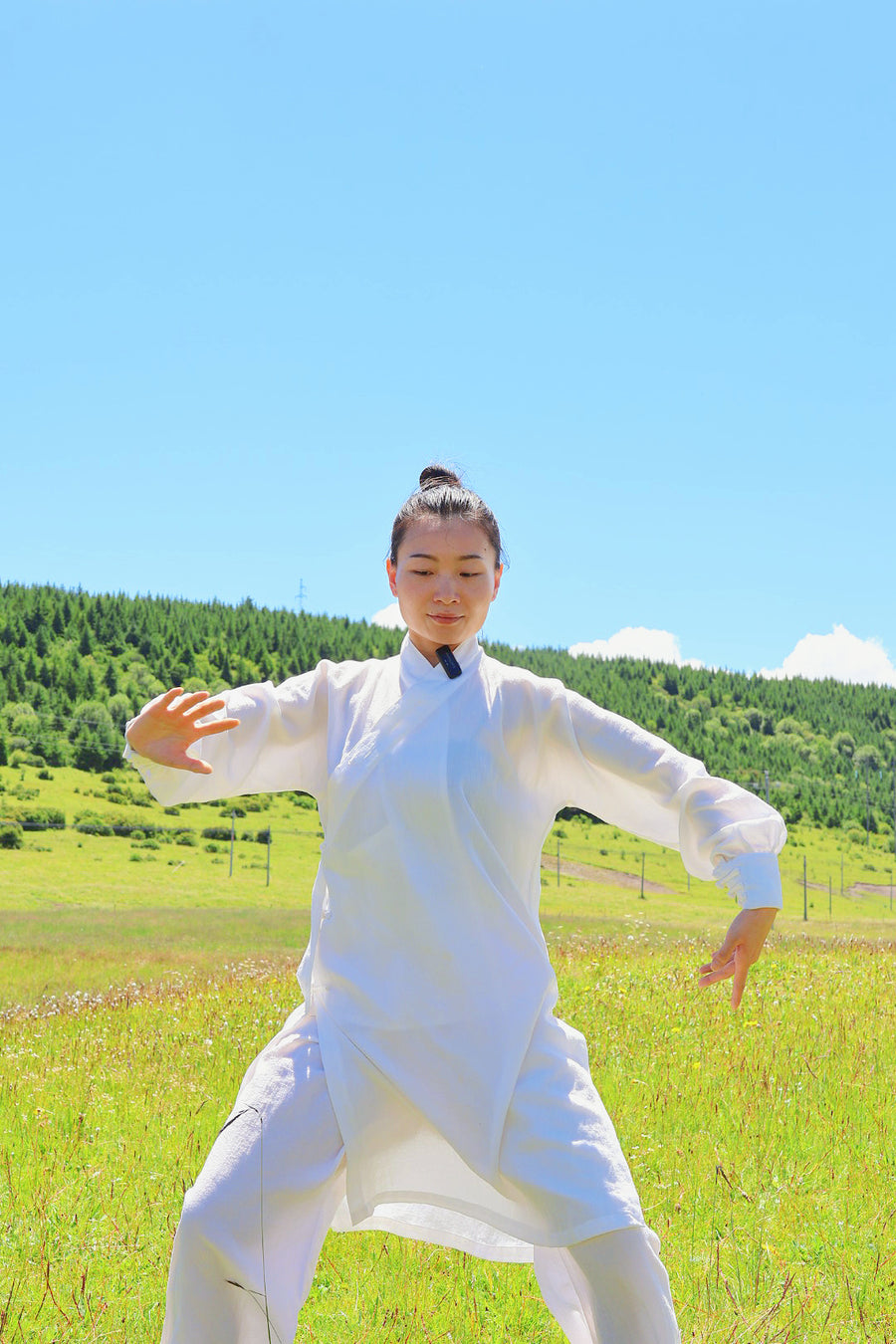 Tai Chi Spleen & Stomach Balancing Flow