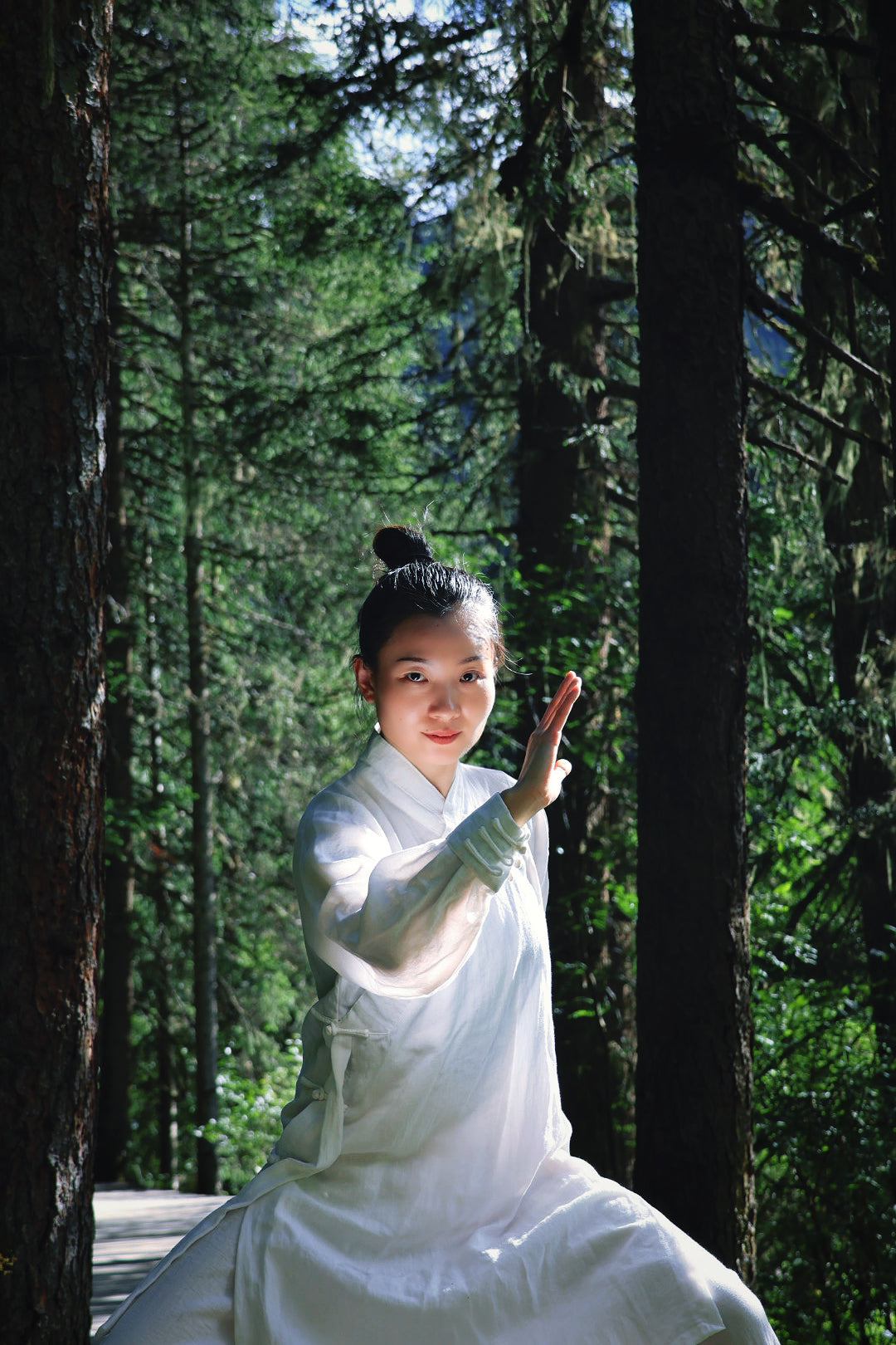 TAI CHI FORM → Traditional Tai Chi Form & Foundation Training