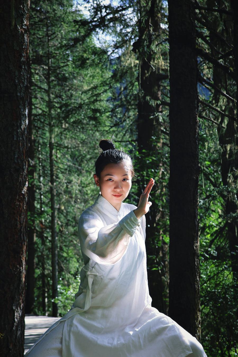 TAI CHI FORM → Traditional Tai Chi Form & Foundation Training