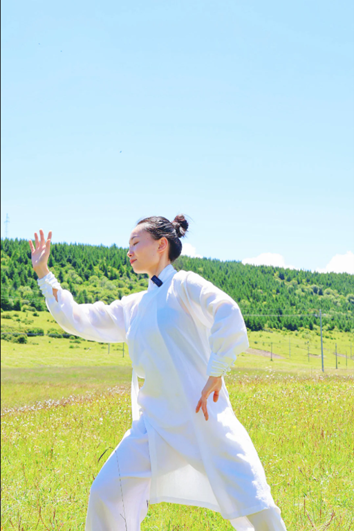 Full Tai Chi Posture Alignment Course | Balance Body Stiffness for Desk Workers & Seniors